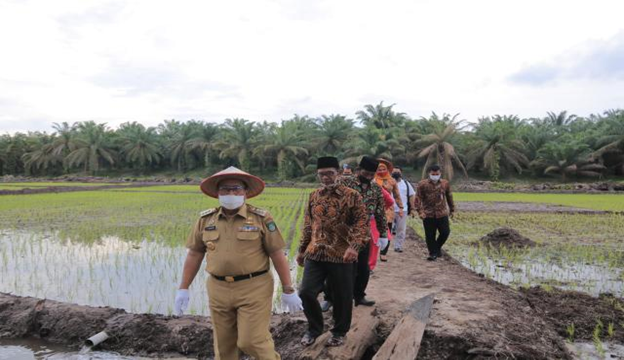 Bupati Sukiman  Apresiasi Pemdes Sukadamai Program Cetak Sawah  Baru 